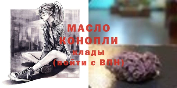 сатива Лабытнанги