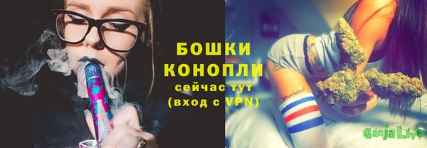 прущий лед Краснослободск