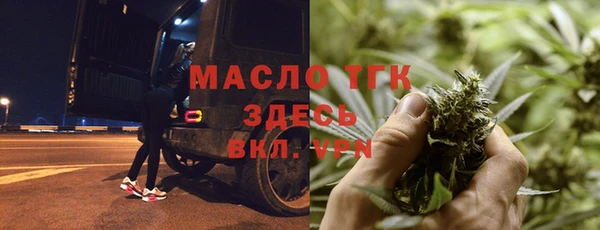 сатива Лабытнанги