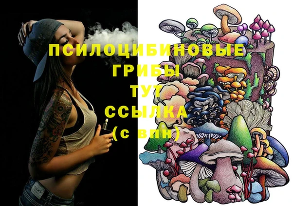 ALPHA PVP Кулебаки
